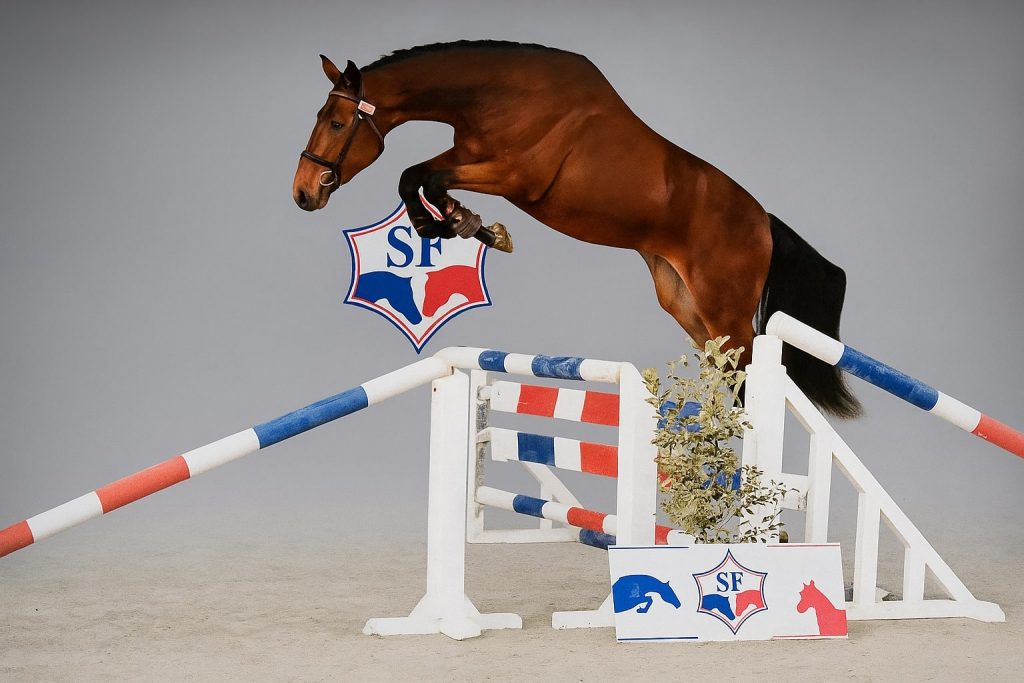 Approbation des 2 ans 